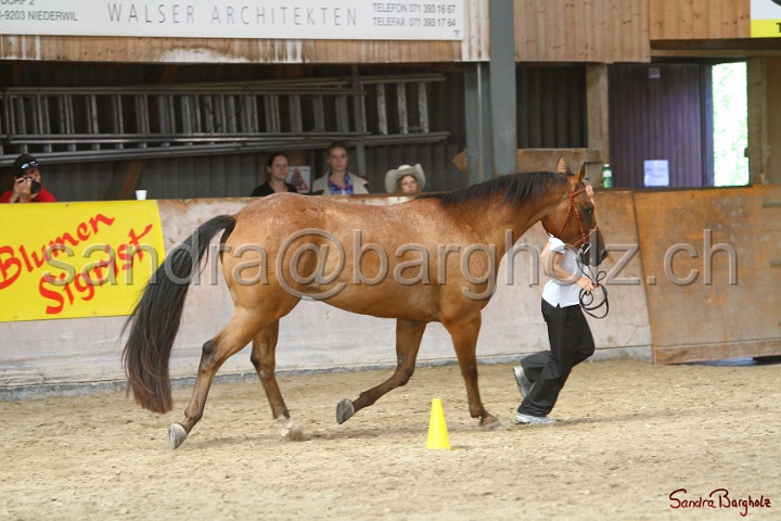 24-ApHC HIH_082.jpg